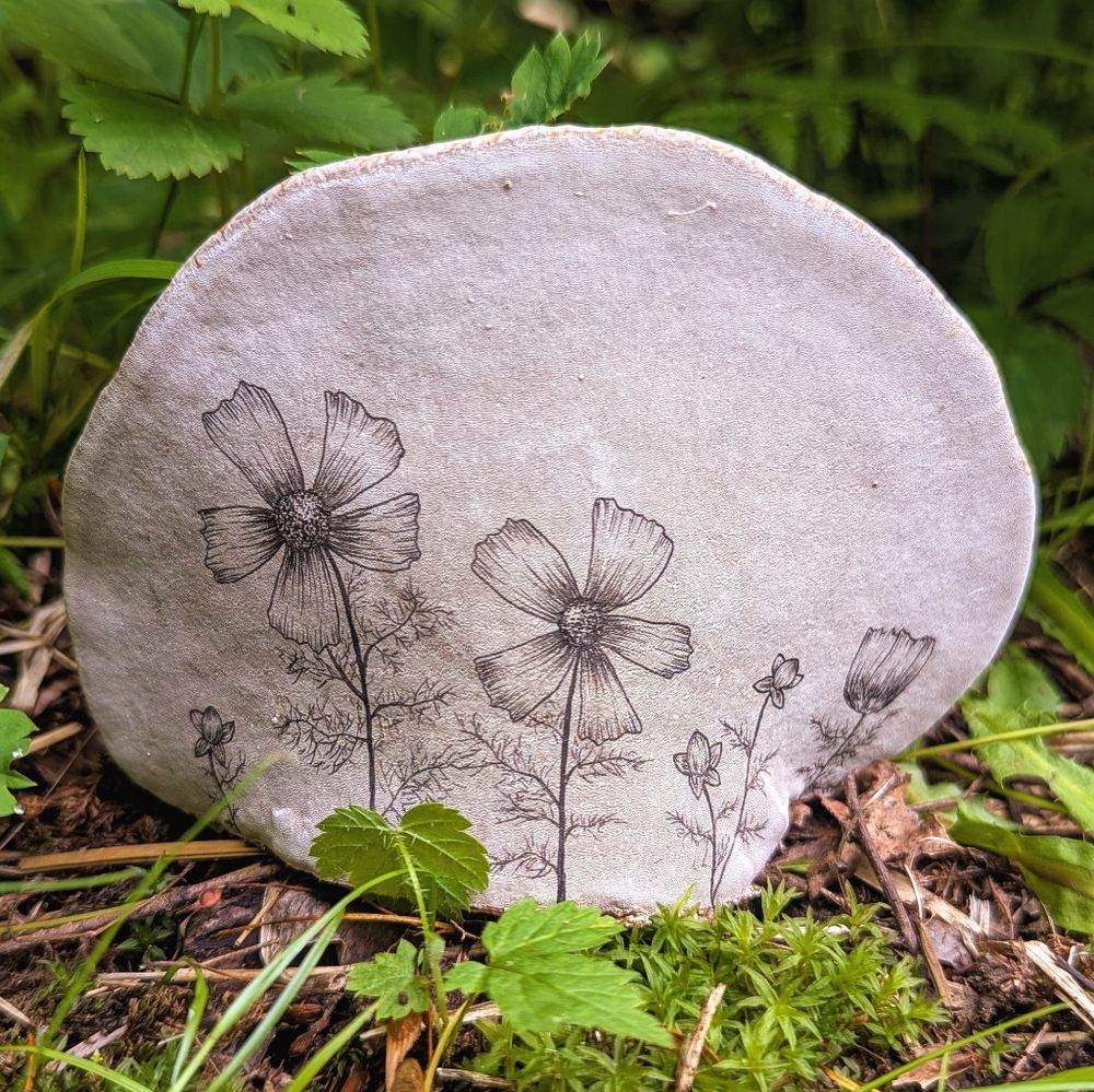 Cosmos - Hand Drawn On Bracket Fungus